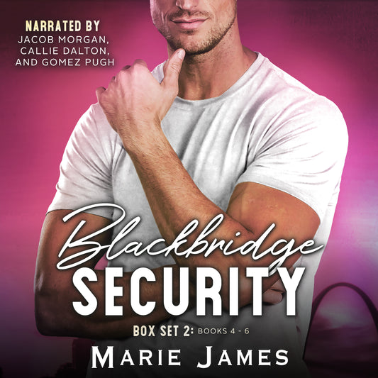 Blackbridge Security Box Set 2 AUDIO