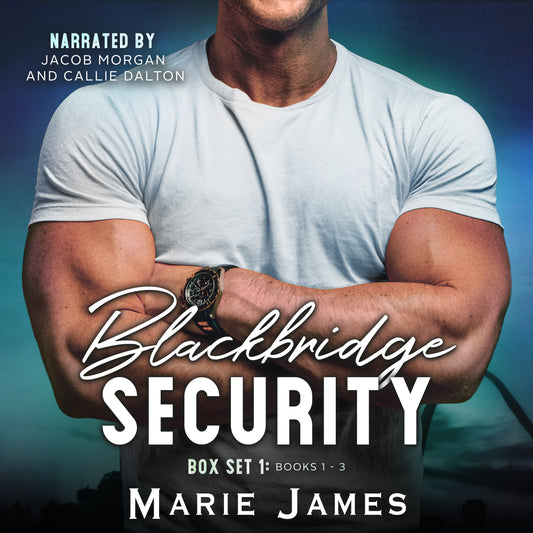 Blackbridge Security Box Set 1 AUDIO