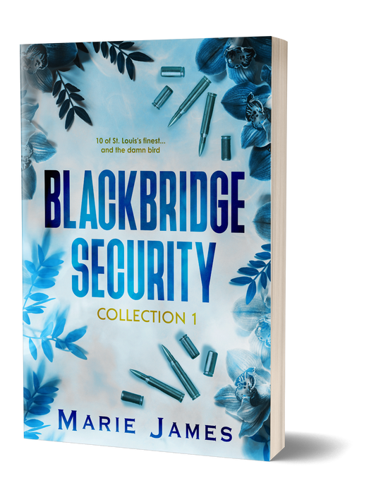 Blackbridge Security Series Collections