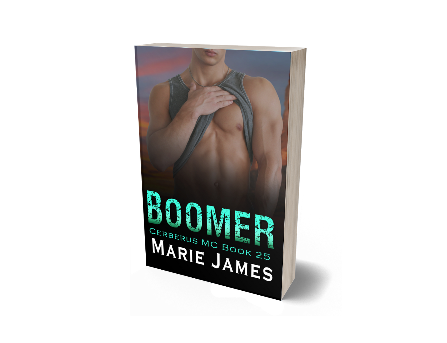 Boomer: Cerberus MC Book 25 Paperback