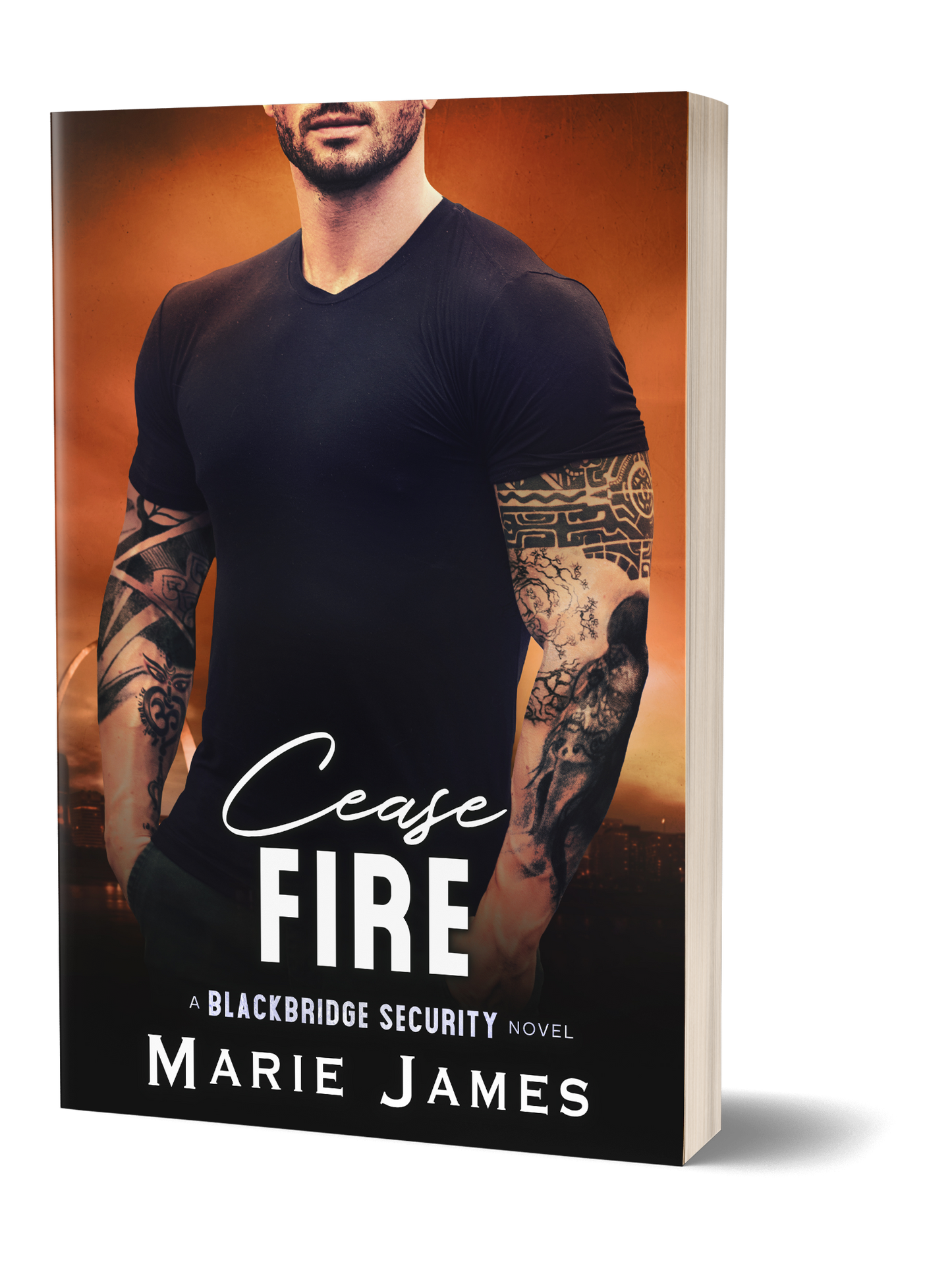 Cease Fire BBS Book 9 Paperback
