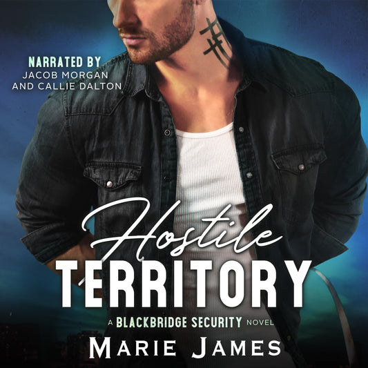 Hostile Territory BBS Book 1 AUDIO