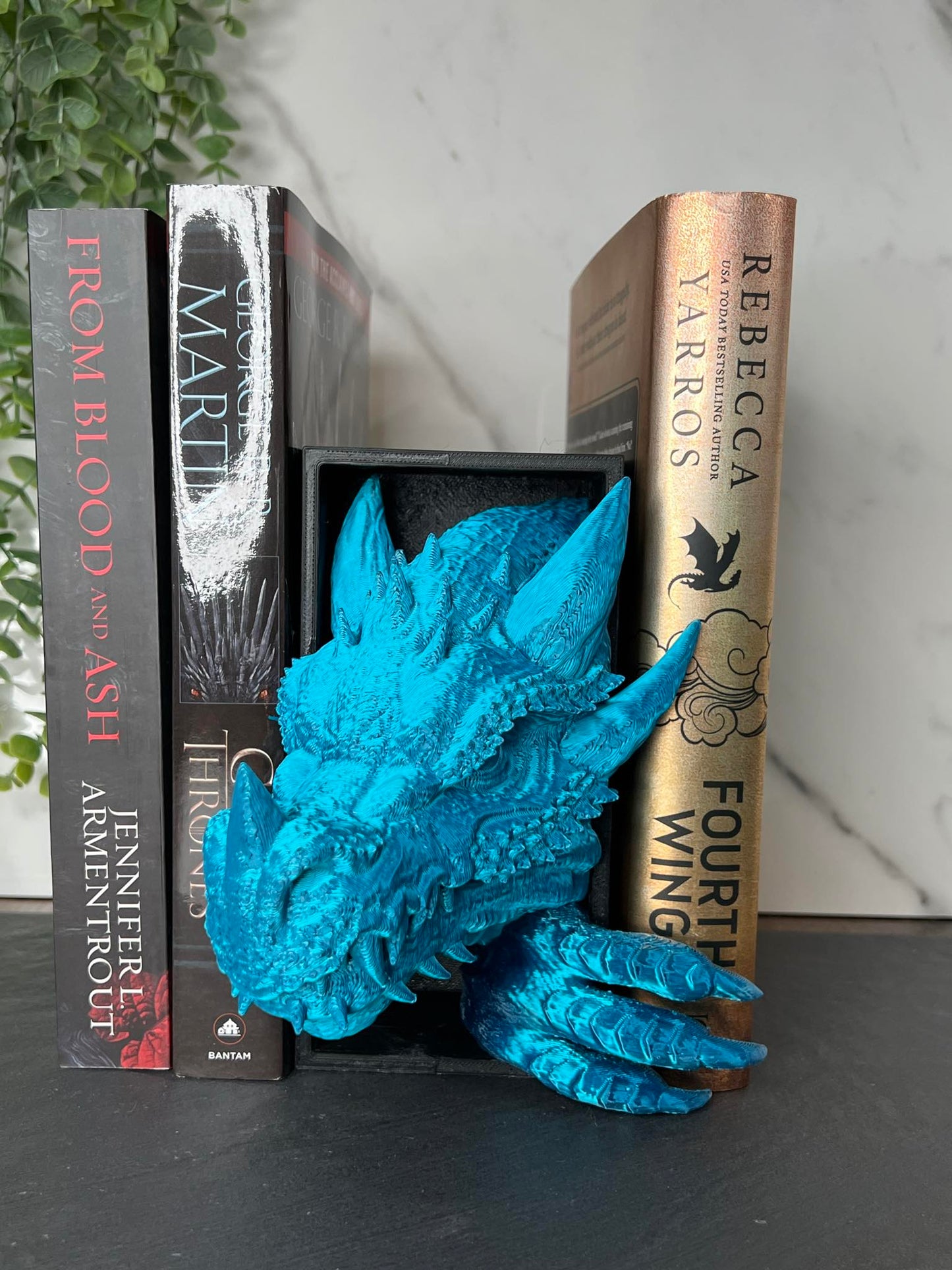 DRAGON BOOK NOOKS