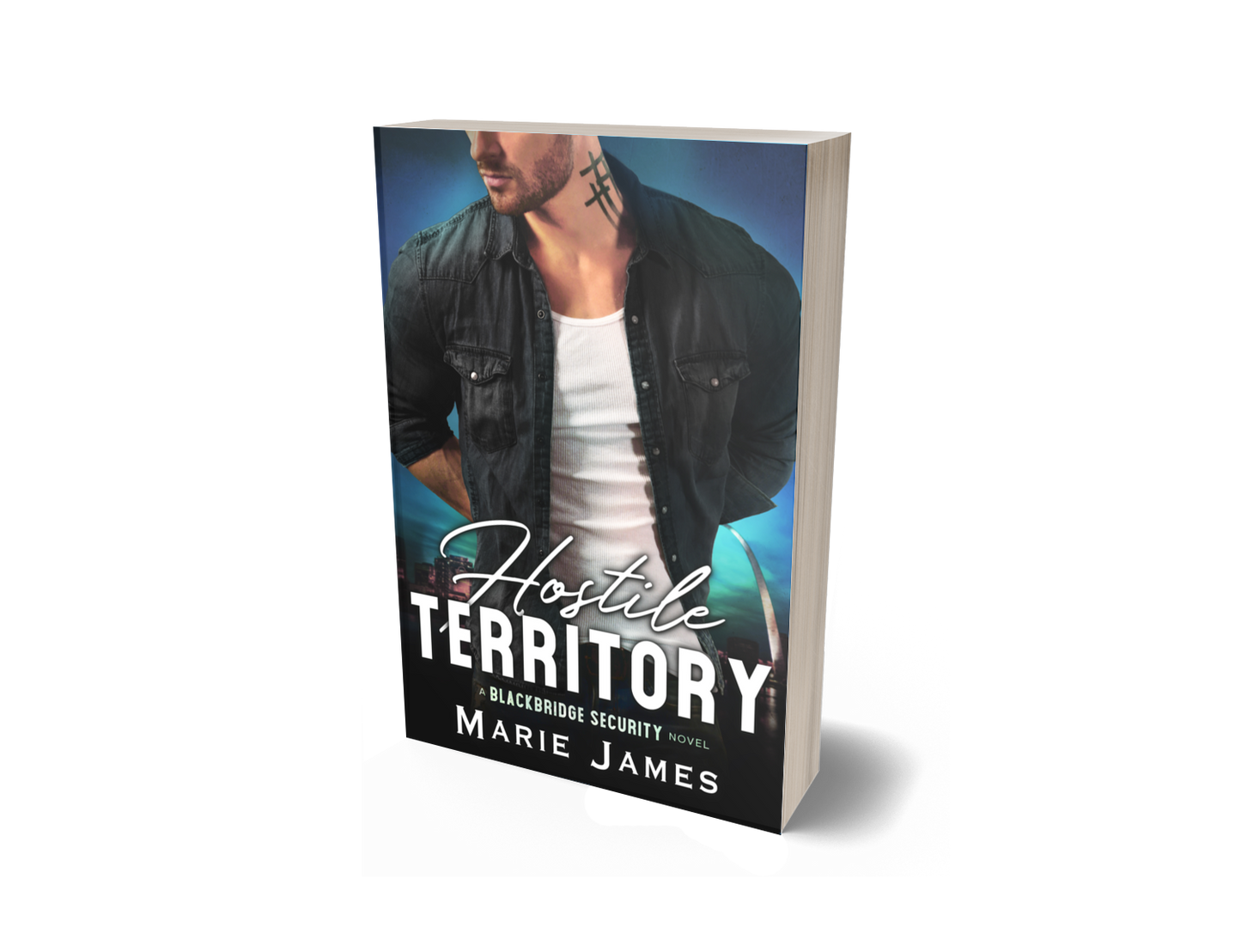 Hostile Territory BBS Book 1 Paperback