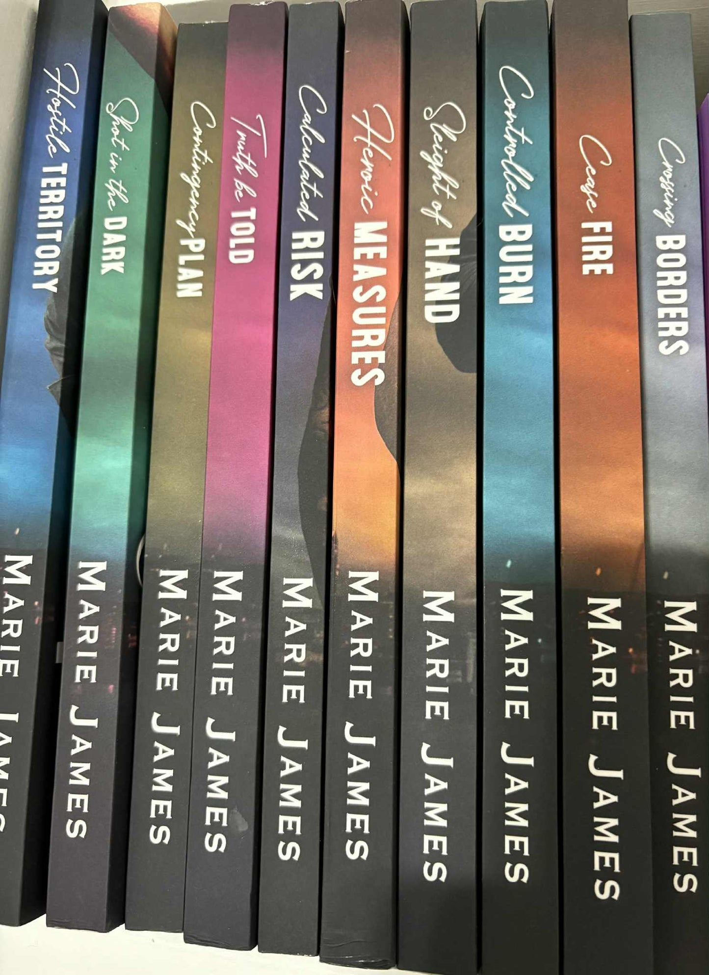 Blackbridge Security Series Bundle