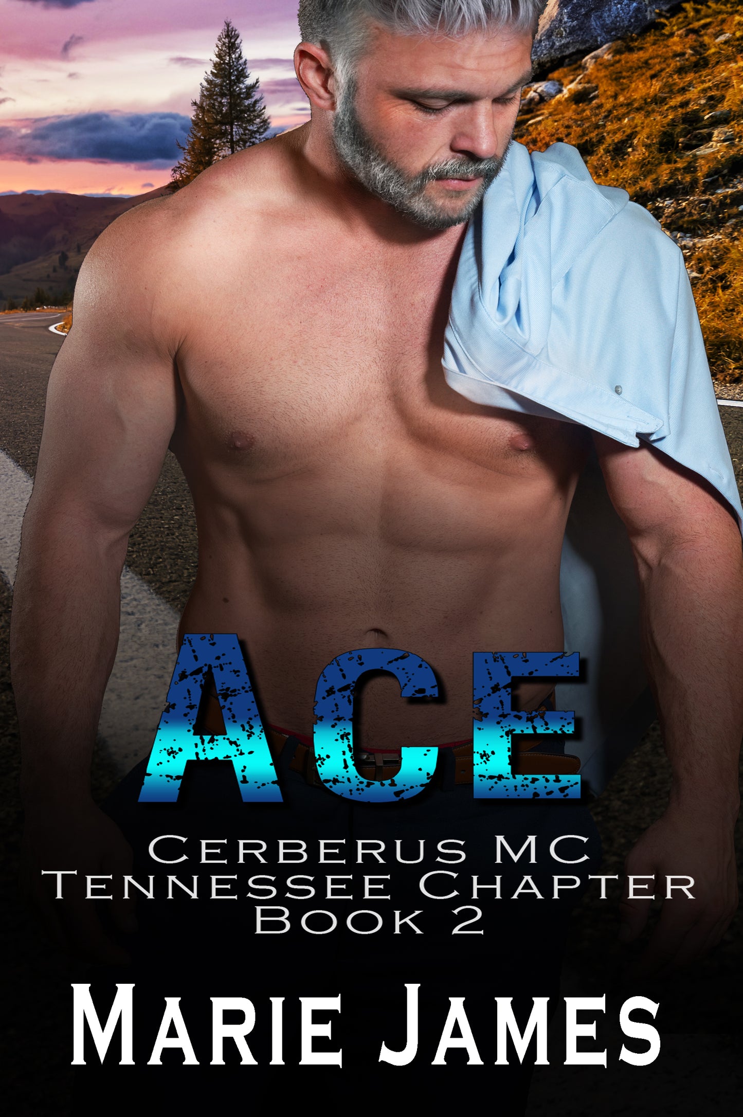 Ace: Cerberus Tennessee Book 2 Paperback