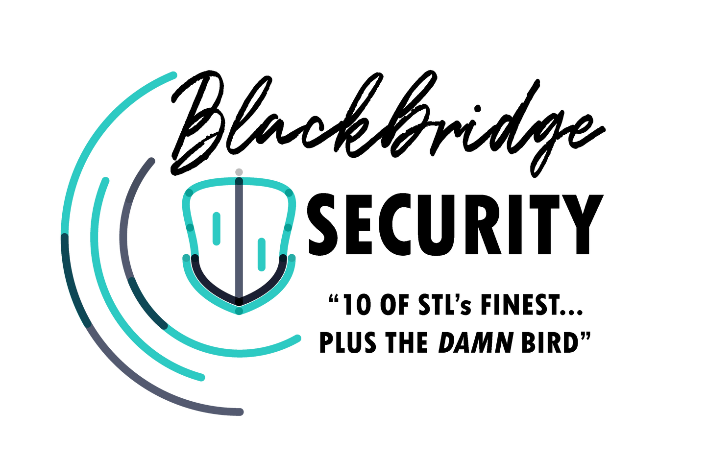 Blackbridge Security Series Bundle