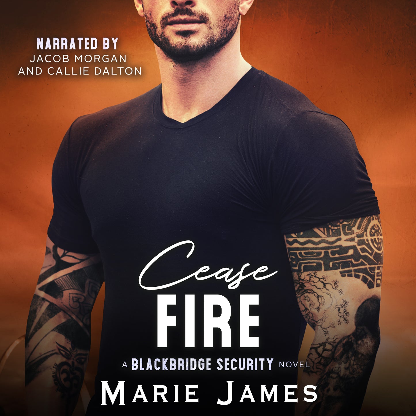 Cease Fire BBS Book 9 AUDIO