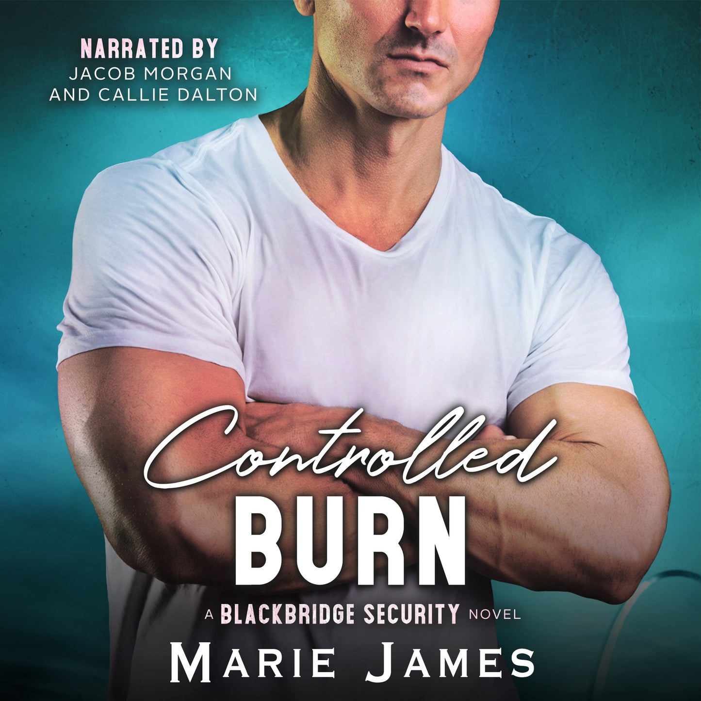 Controlled Burn BBS Book 8 AUDIO