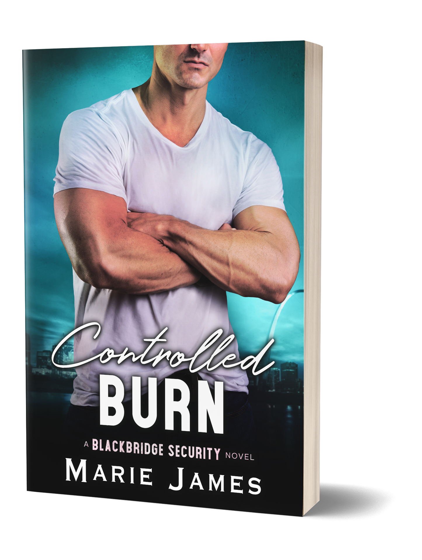 Controlled Burn BBS Book 8 Paperback