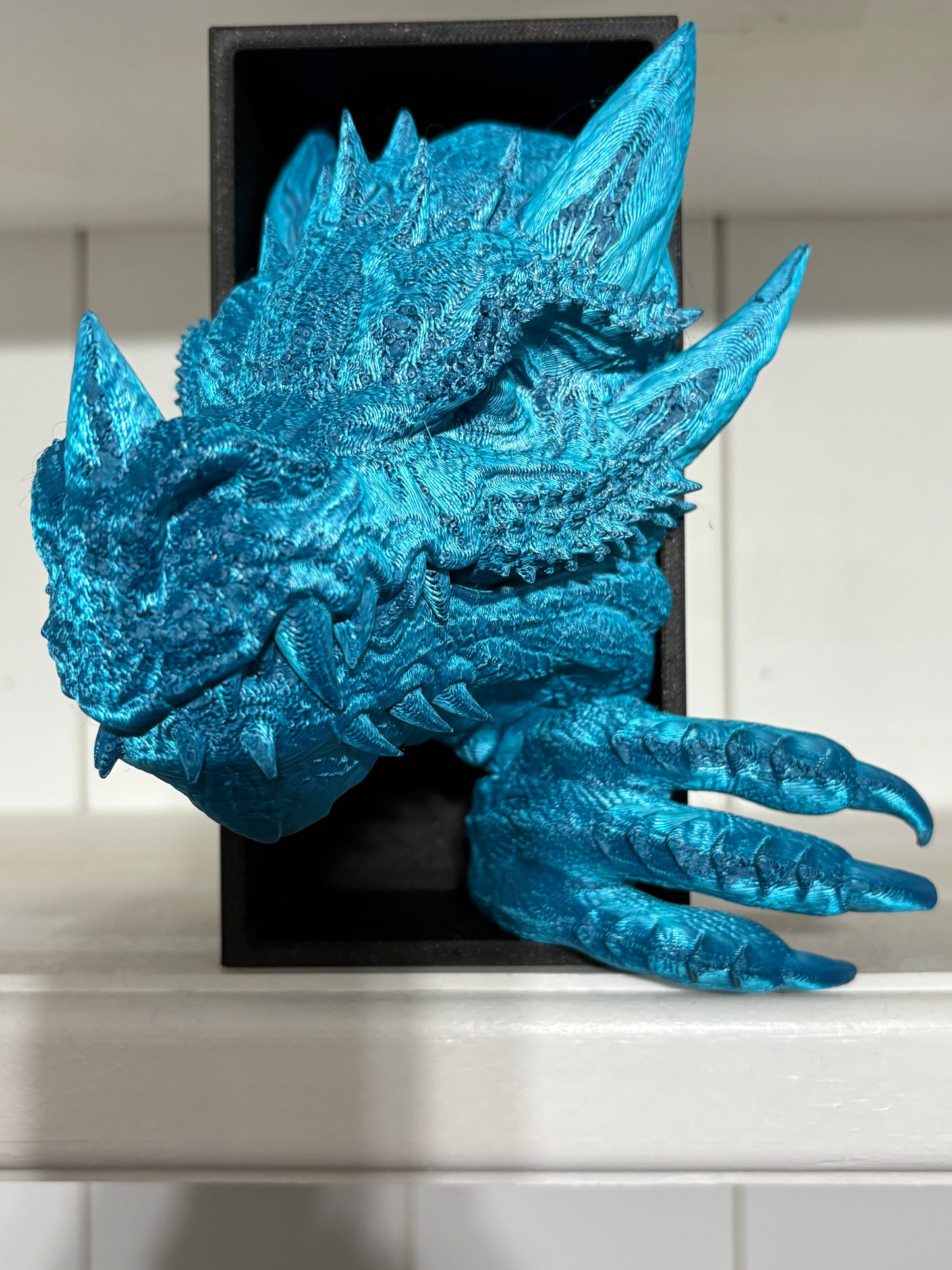 DRAGON BOOK NOOKS