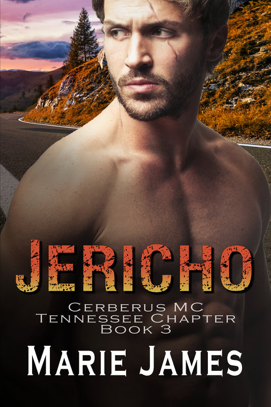 Jericho: Gatlinburg, TN Chapter Book 3 eBook