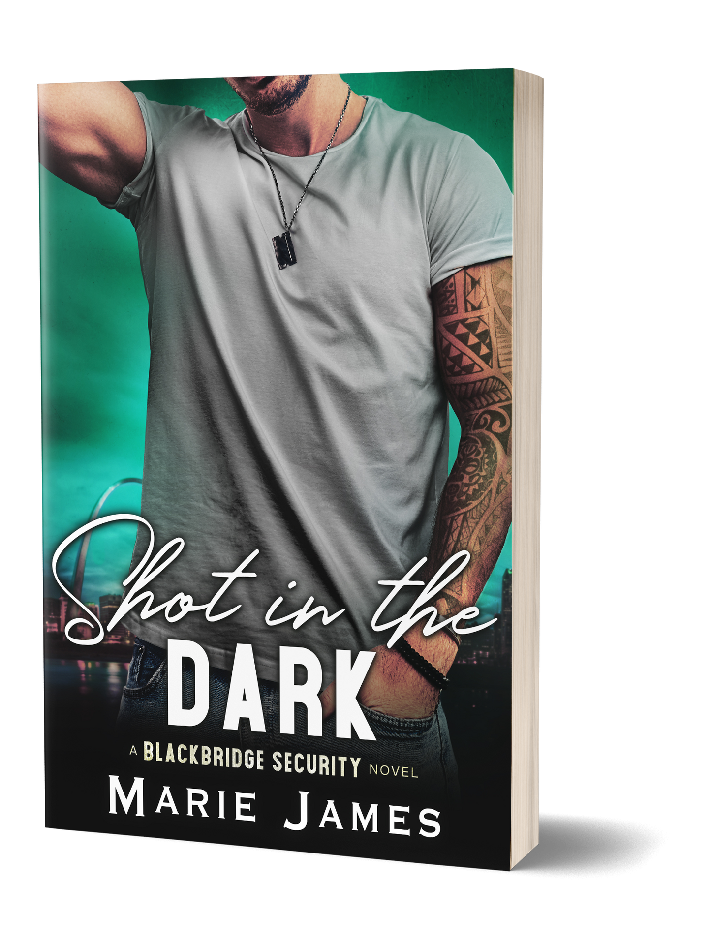 Shot in the Dark BBS Book 2 Paperback