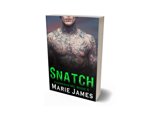 Snatch: Cerberus MC Book 5 Paperback