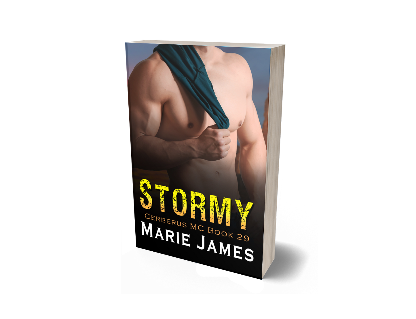 Stormy: Cerberus MC Book 29 Paperback