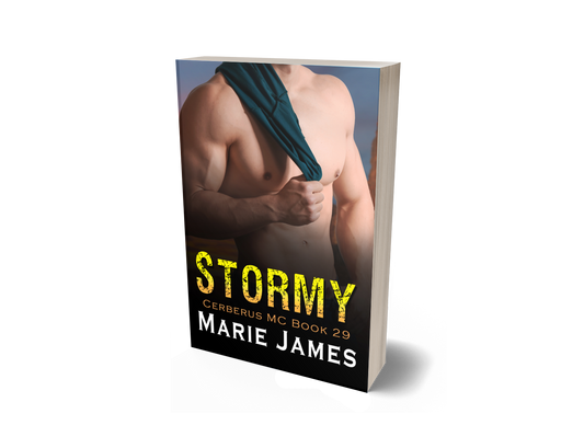 Stormy: Cerberus MC Book 29 Paperback